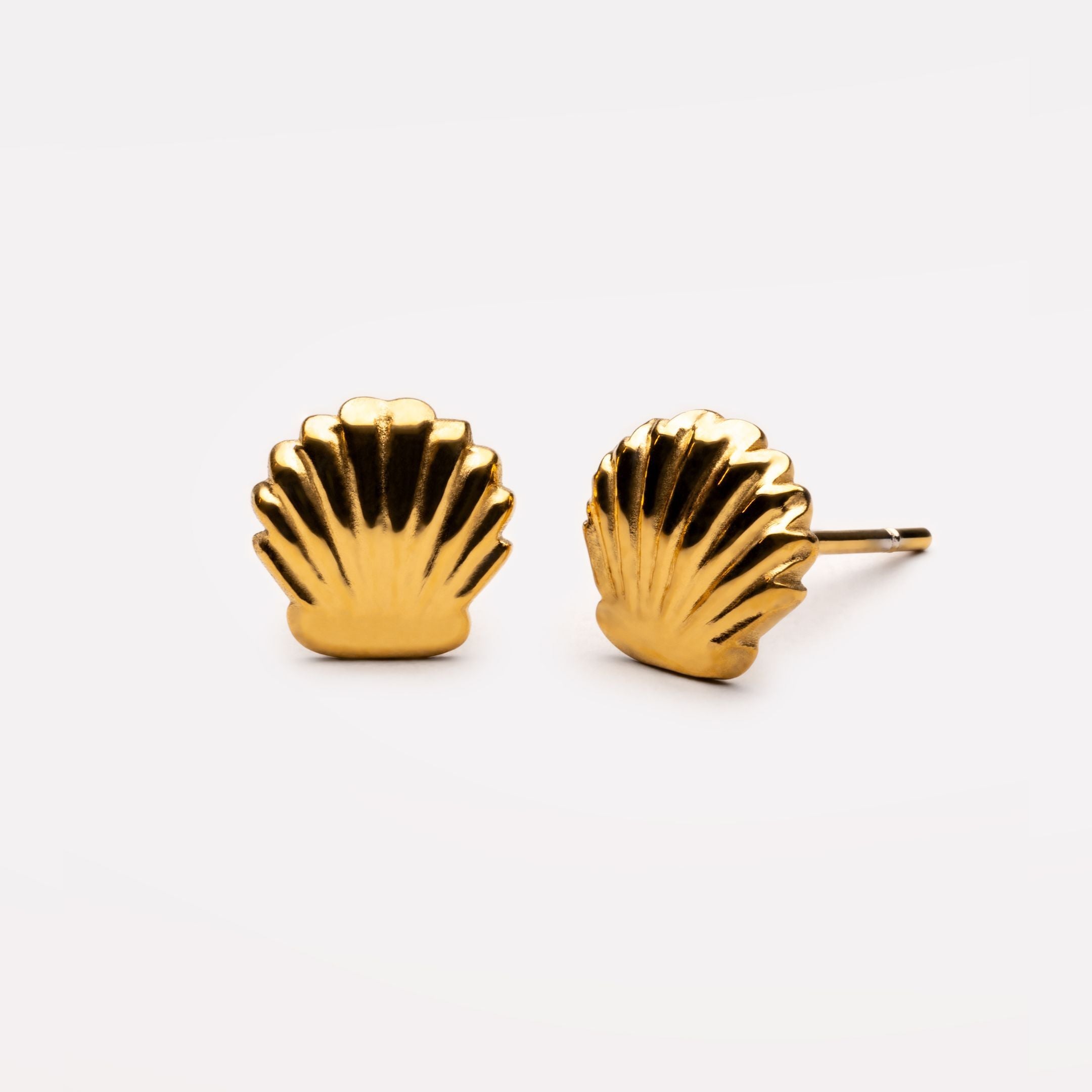 Shell Stud Earrings